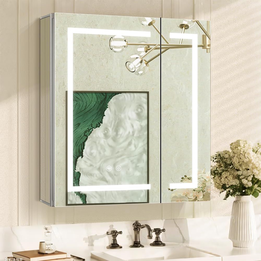 Bathroom Cabinet Mirror - Illuminated Bathroom Mirror Cabinet, 24x28, LED