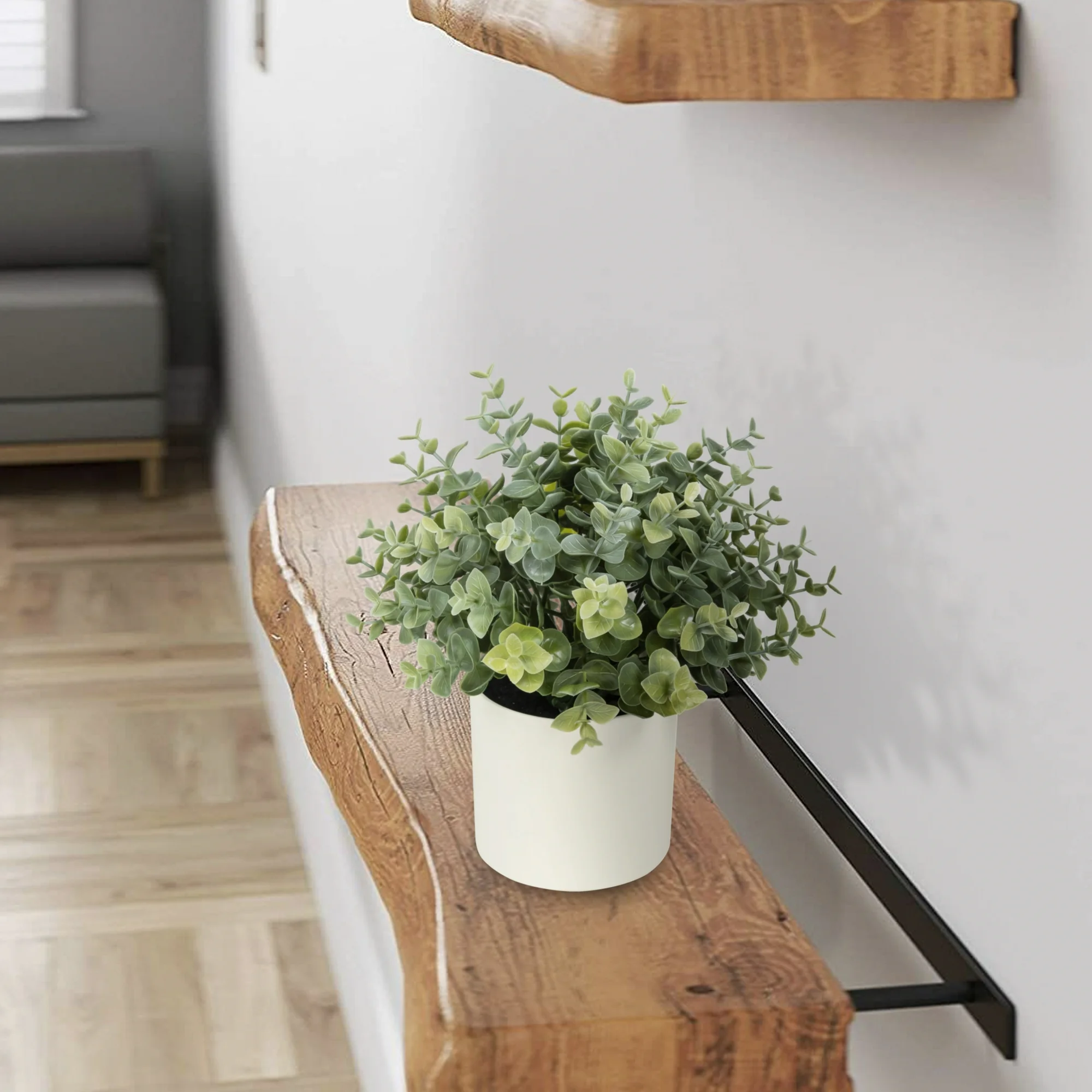 Artificial Eucalyptus Plant in - Home Bathroom Shelf recension och pris