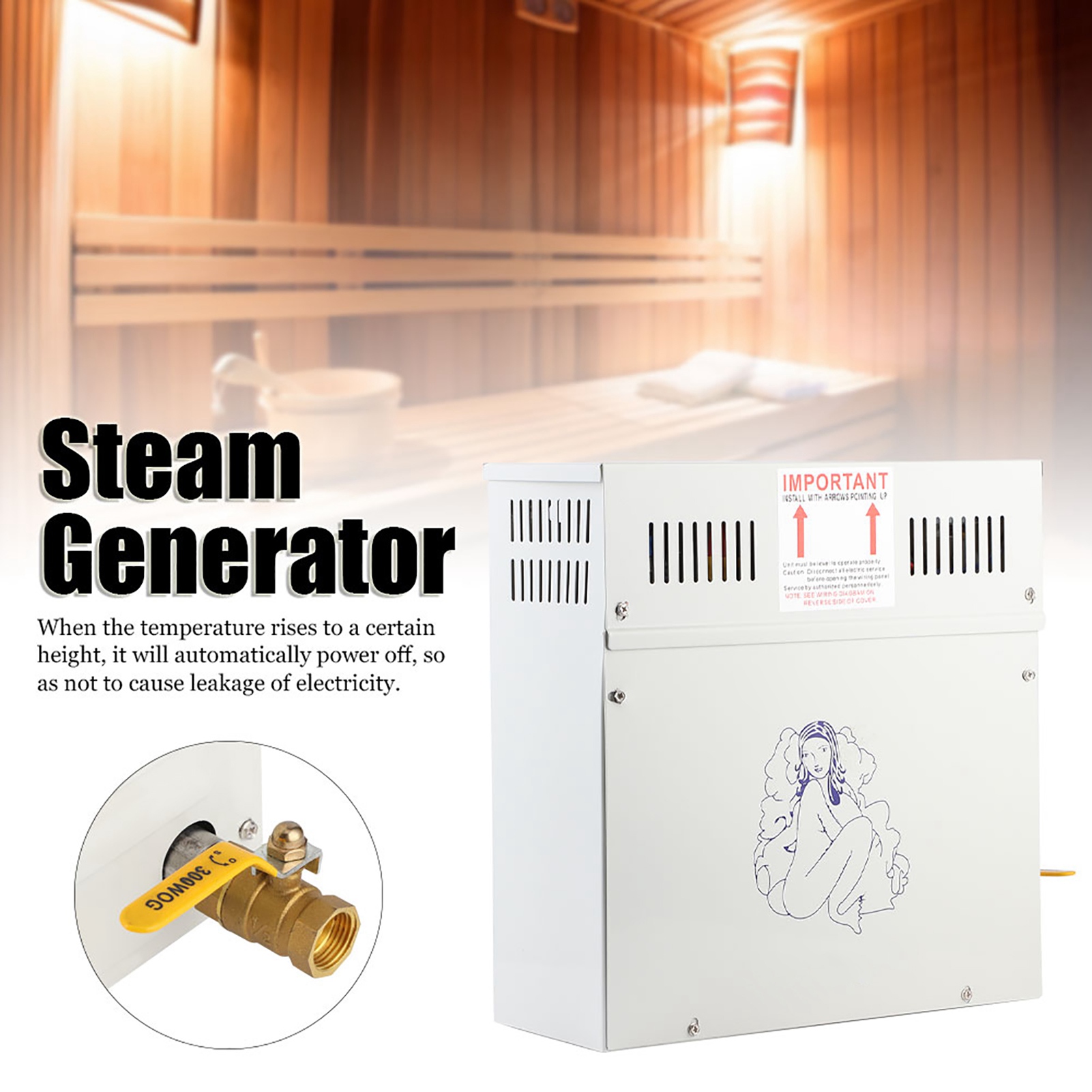 4.5KW 220V Steam Generator Sho - Home Bathroom With Sauna recension och pris